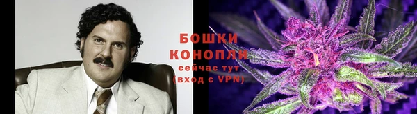 спайс Михайлов