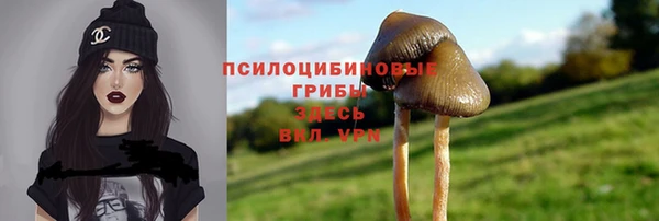 спайс Михайлов