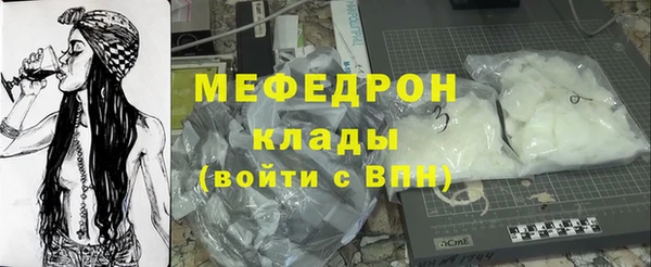 сатива Аша