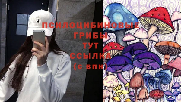 СК Михайловск