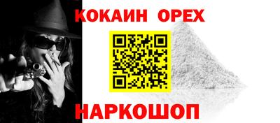 крисы Аргун