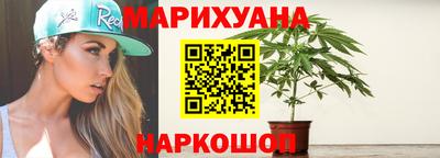 крисы Аргун