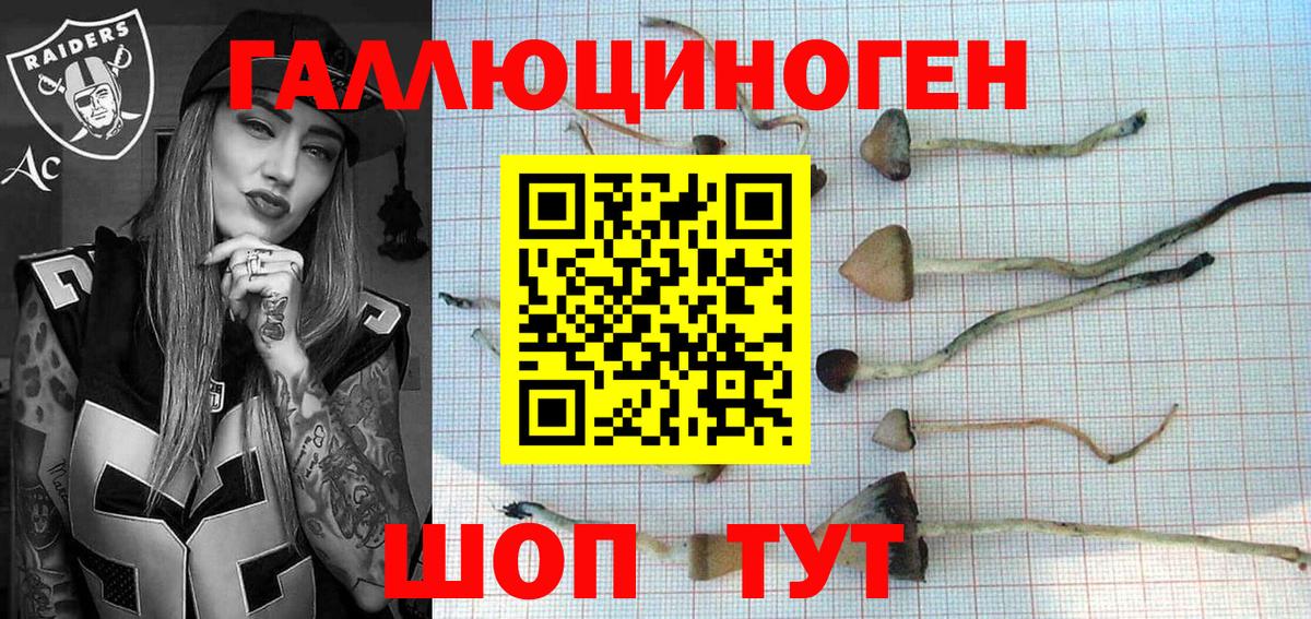 Галлюциногенные грибы GOLDEN TEACHER Белая Калитва